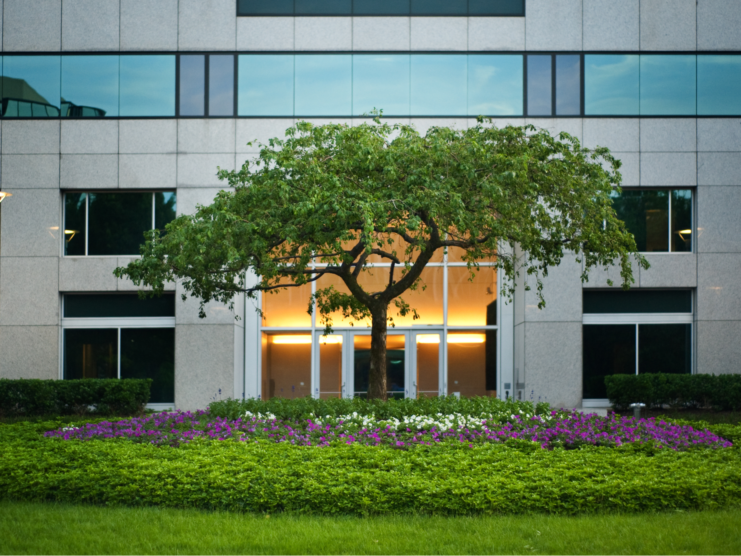 Commercial Waste Solutions